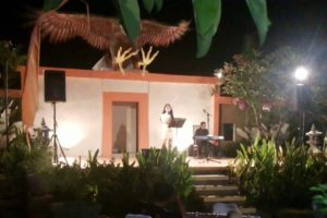 Sewa Single Electone di Bali atau Organ Tunggal 8817
