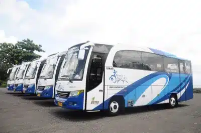 Transportation Service Bus